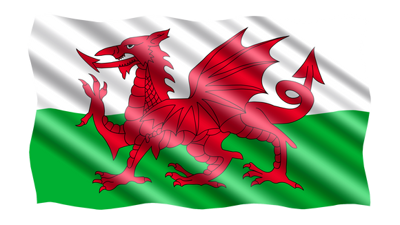 Wales Red Dragon Flag in TrueKolor Wrinkle Free Fabric