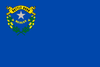 Nevada State Flag in TrueKolor Wrinkle Free Fabric