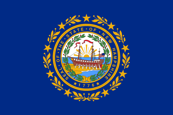 New Hampshire State Flag in TrueKolor Wrinkle Free Fabric