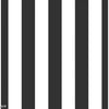 Black and White Vertical Stripes Print Photography Backdrop